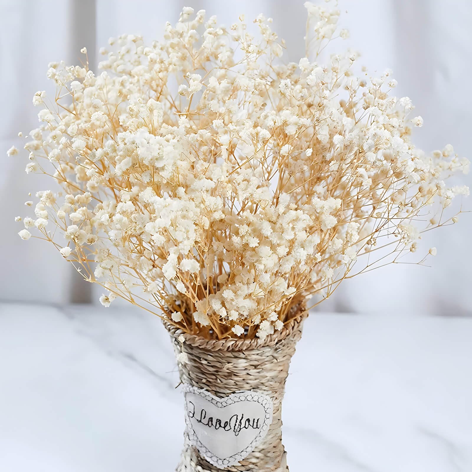 2000+ Dried Babys Breath Flowers Bulk - 17'' Ivory White Dried Flower Bouquet, Real Natural Gypsophila Branches for Vase Filler,
