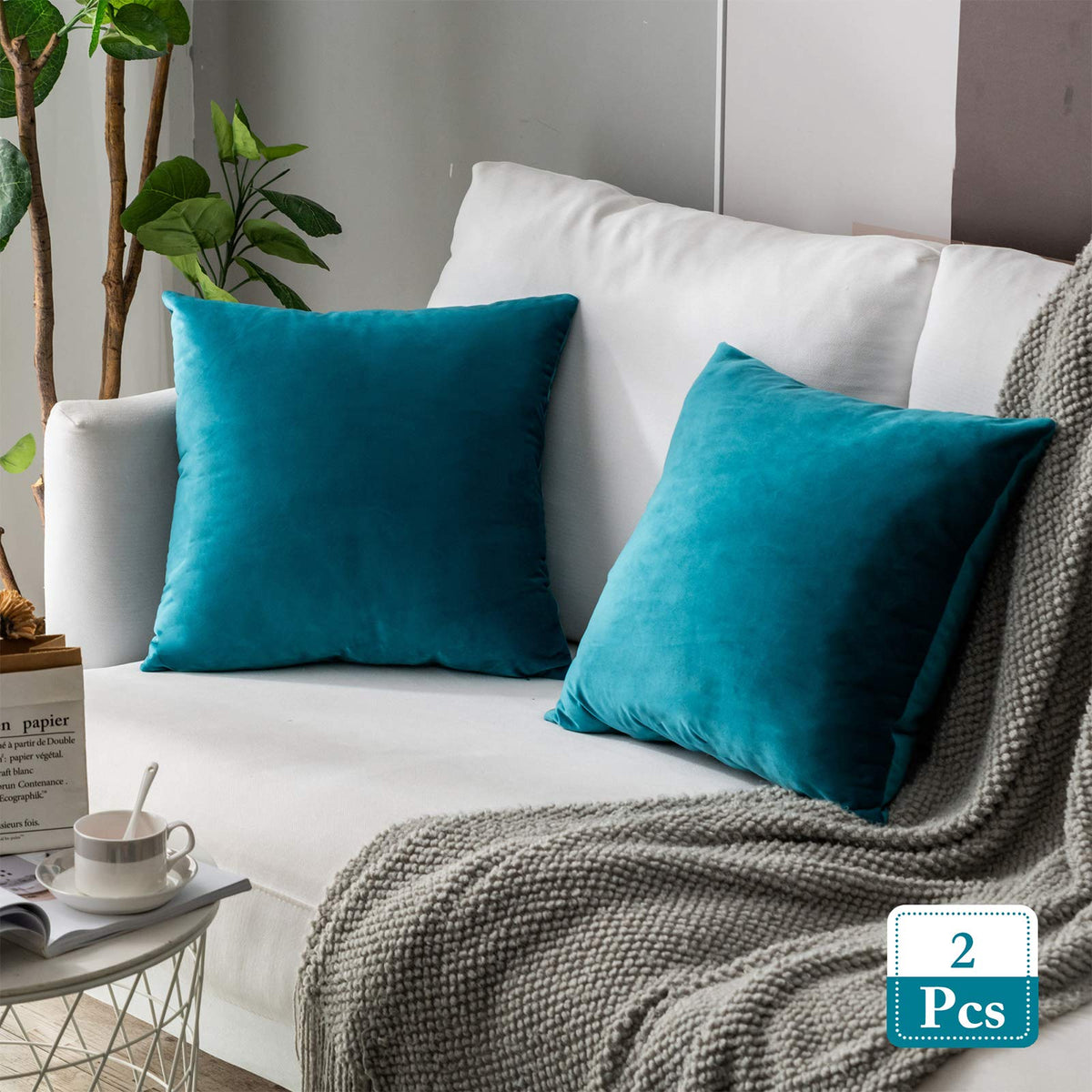 Stellhome Pack Of 2 Cozy Velvet Pillow Covers Square Decorative Cushion Covers For Bed Couch Sofa Bench, 22 X 22 Inch (55 X 55 C