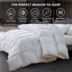 EGYPTIAN BEDDING Super King Comforter 120" x 120" Goose Down Fiber 100% Egyptian Cotton White Baffle Box