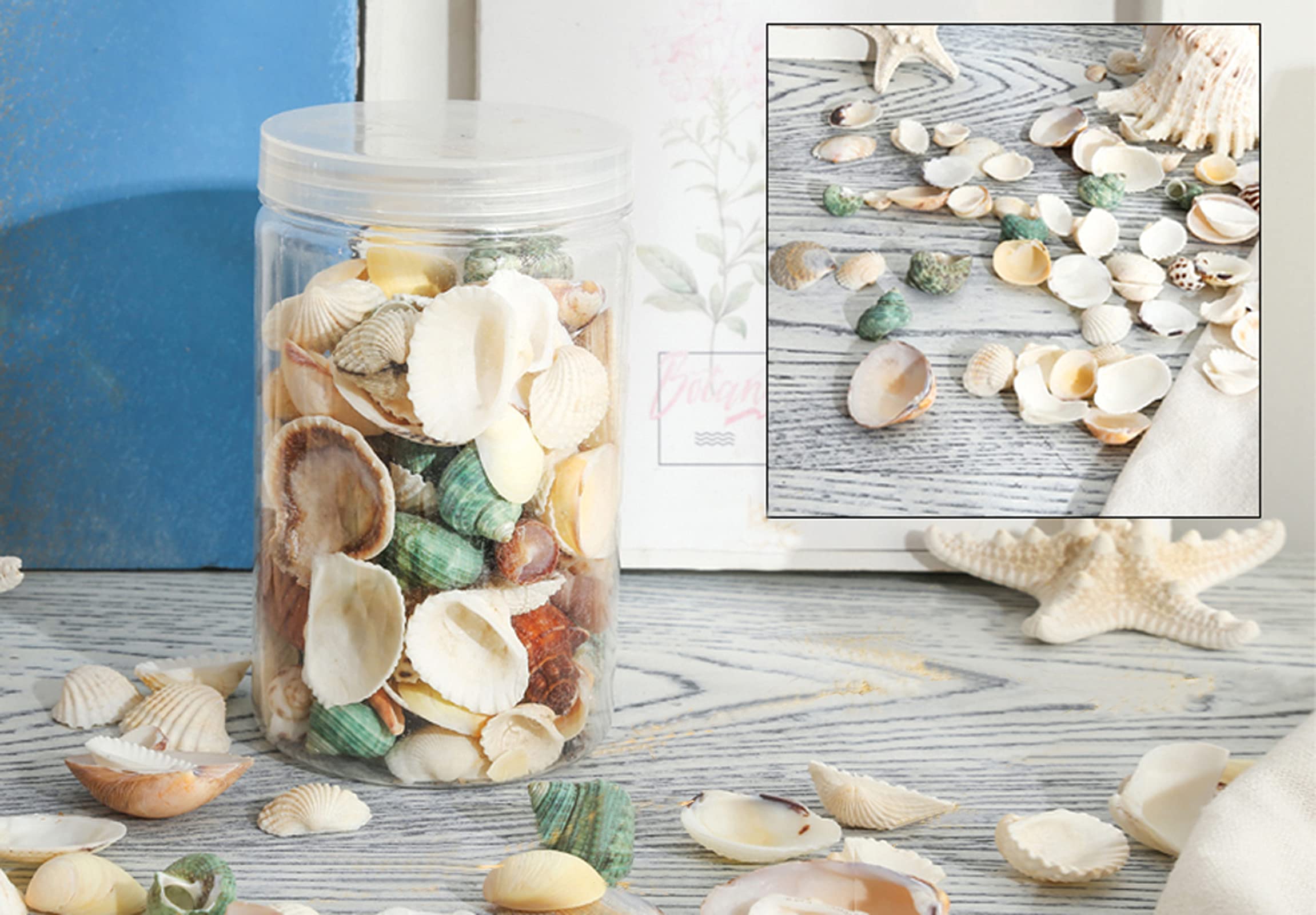 80~85Pcs Sea Shells Mixed Beach Seashells For Beach Theme Party Wedding Decorations Diy Crafts Candle Making Fish Tank Vase Fill