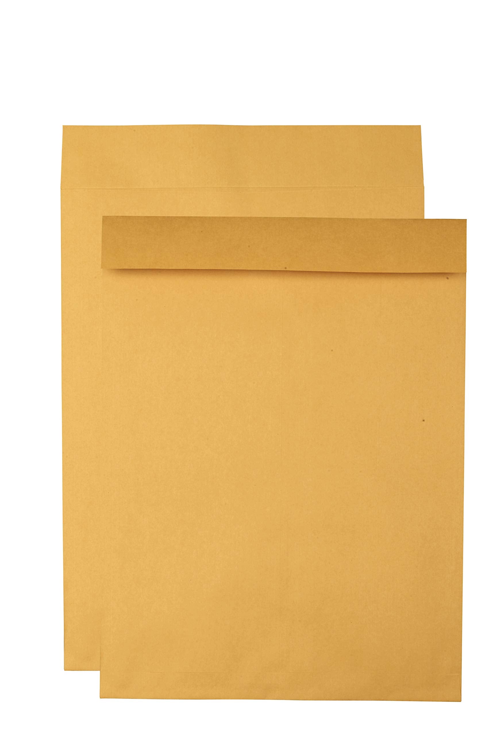 Quality Park Jumbo Kraft Envelopes, 17 X 22, Ungummed Catalog Envelopes For Storing And Organizing, 28 Lb Kraft Paper, 25 Per Bo