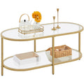 Yaheetech Gold Coffee Table, 42 Oval Glass Coffee Table for Living Room, 2-Tier Center Tea Table with Storage Shelf & Metal Fram