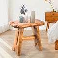 HOEGMST Mushroom Side Table, 18.9 inch Tall Live Edge Wood Stool, Freeform Natural Plant Stand for Garden, Yard, Living Room, Be
