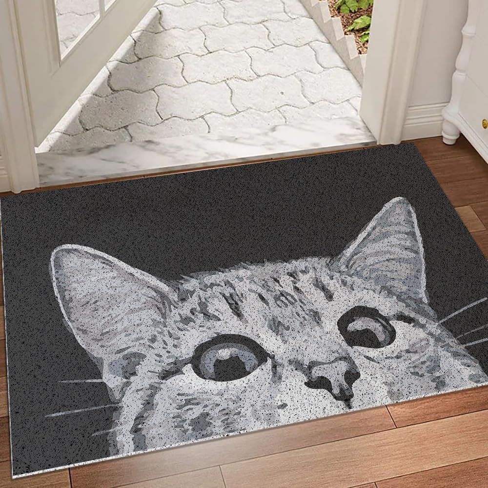 Mr Fantasy Cat Door Mat Outdoor Entrance, Durable Welcome Mat, Mud Absorbent Doormat, Indoor Outdoor, Low-Profile Floor Mats, Fr