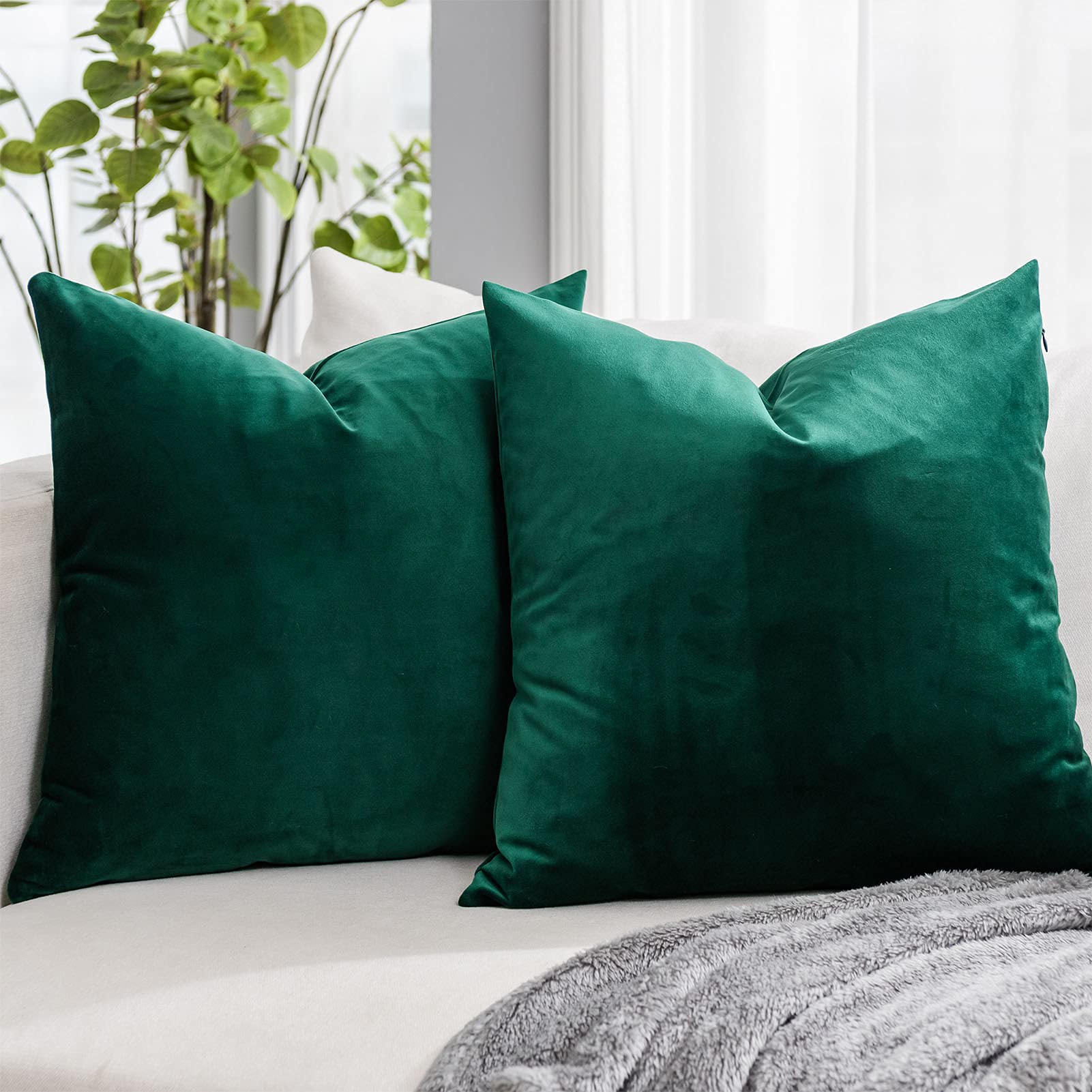 Quafoo Dark Green Decorative Lumbar Velvet Throw Pillow Covers 24X24 Inch Set Of 2 With Zipper Luxury Soft Solid Square Cushion