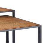 HomeRoots Set of 2 Rectangular Black Powder Coated Frame and Lion Faux Leather Top Nesting End Tables