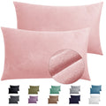 Telus 2 Pack Zippered Velvet Standard Pillowcases, Super Soft And Cozy Luxury Fuzzy Flannel Pillow Cases With Zipper, 20X26 Inch