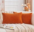 Grineed Throw Pillow Covers Burnt Orange Set Of 2 12X20 Inch Fall Pillow Covers, Soft Velvet Farmhouse Neutral Lumbar Decorative