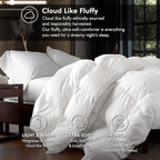 Luxurious Oversized Queen 98'' X 98'' Size Goose Down Fiber Waterfowl Feather Fiber Comforter Duvet, 100% Egyptian Cotton Cover,