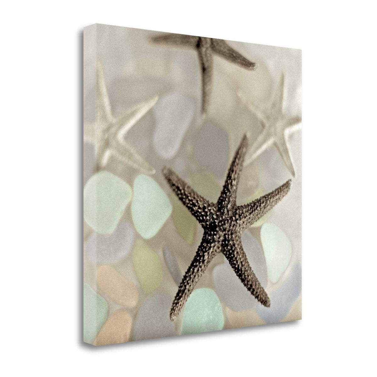 13' Four Starfish and Faded Seaglass 4 Giclee Wrap Canvas Wall Art