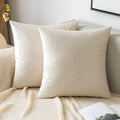 EMEMA Pack of 2 Velvet Pillow Covers Decorative Square Pillowcase Soft Solid Cushion Case for Sofa Bedroom Car 16x16 Inch Cream 