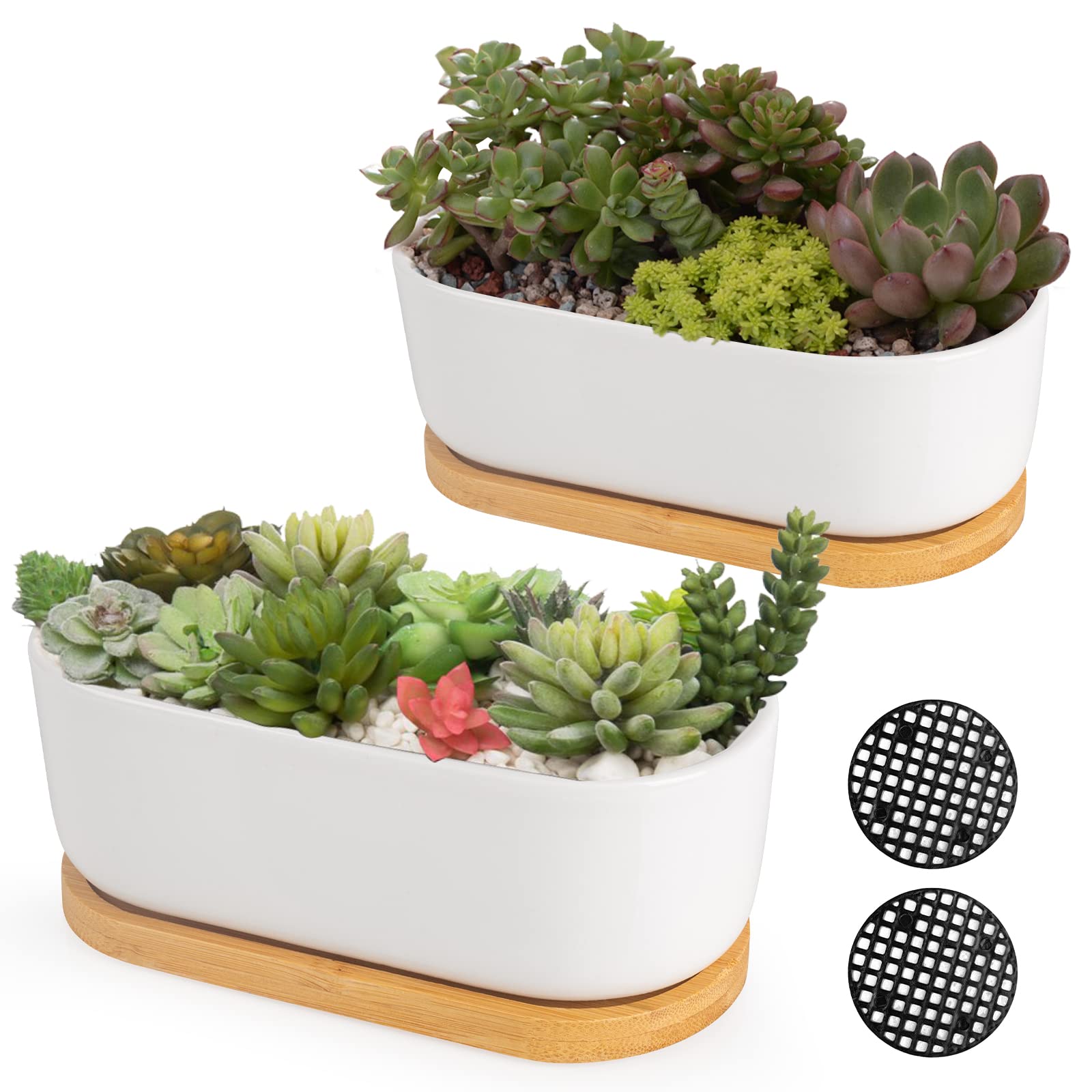 Arvinkey White Ceramic Succulent Plant Pots, Indoor And Outdoor Succulent Planters, Set Of 2 Small Cactus Containers, Bonsai Pot