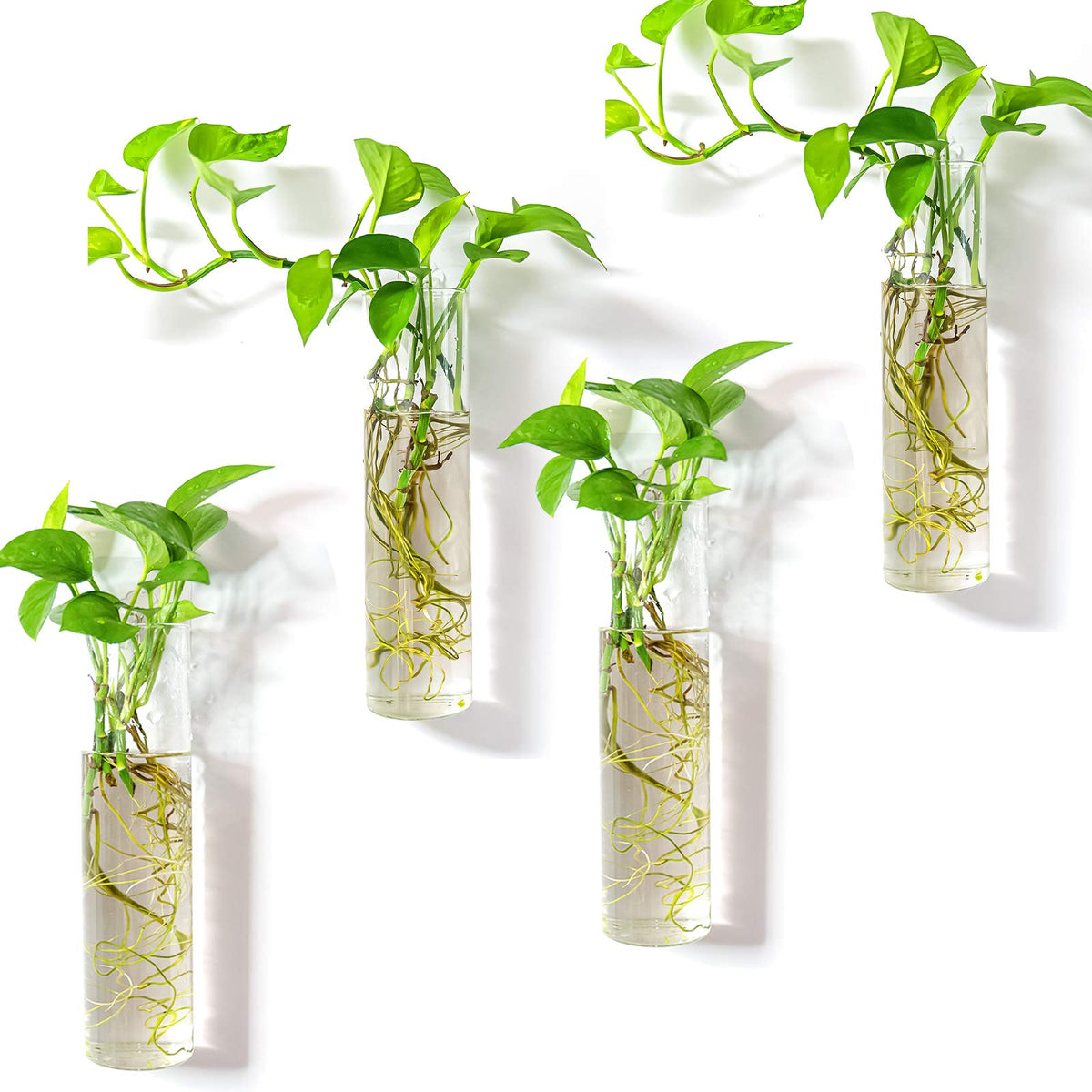 Kingbuy Wall Hanging Planter Glass Plant Propagation Station For Home Office Decor, Large Cylinder, 4 Pack