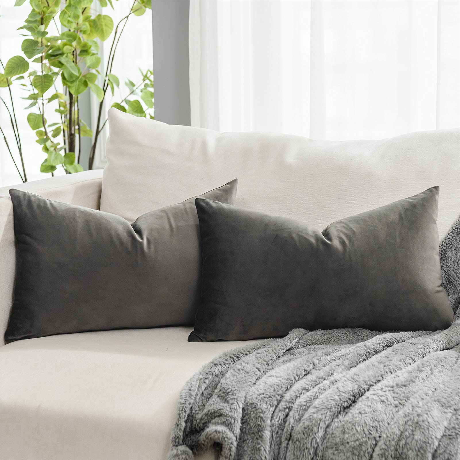 Quafoo Ash Decorative Lumbar Velvet Throw Pillow Covers 12X20 Inch Set Of 2 With Zipper Luxury Soft Solid Rectangle Cushion Cove