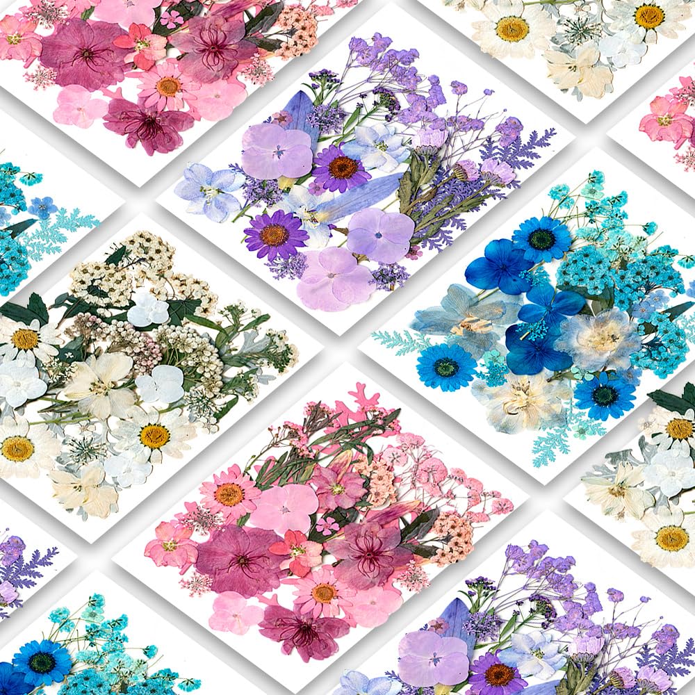 Blaflo Cold Tone Dried Pressed Flowers For Resin, Real Pressed Flowers Dry Leaves Bulk Natural Herbs Kit For Scrapbooking Diy Ar