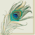 IHR Ideal Home Range Party Napkins Disposable 3-Ply Paper Lunch Napkin Pack, 6.5'' x 6.5'', Peacock Feather, 20-Count