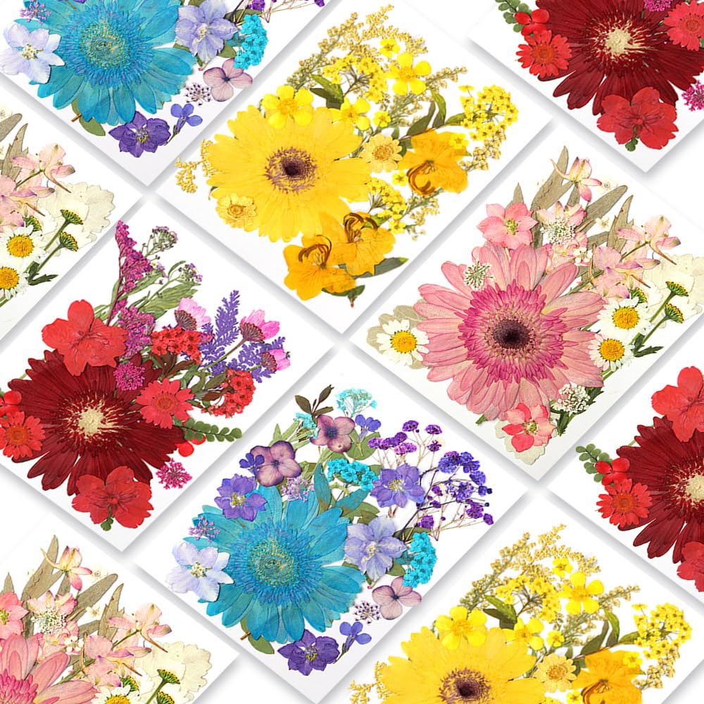 Blaflo 95Pcs Dried Pressed Flowers For Resin, Natural Dried Flowers Leaves, Real Herbs Kit For Scrapbooking Diy Art Crafts, Epox