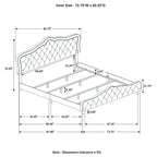 Coaster Home Furnishings Bella Modern Classic Velvet Upholstered California King Size Panel Bed Frame 55-inch Headboard Grey 315871KW