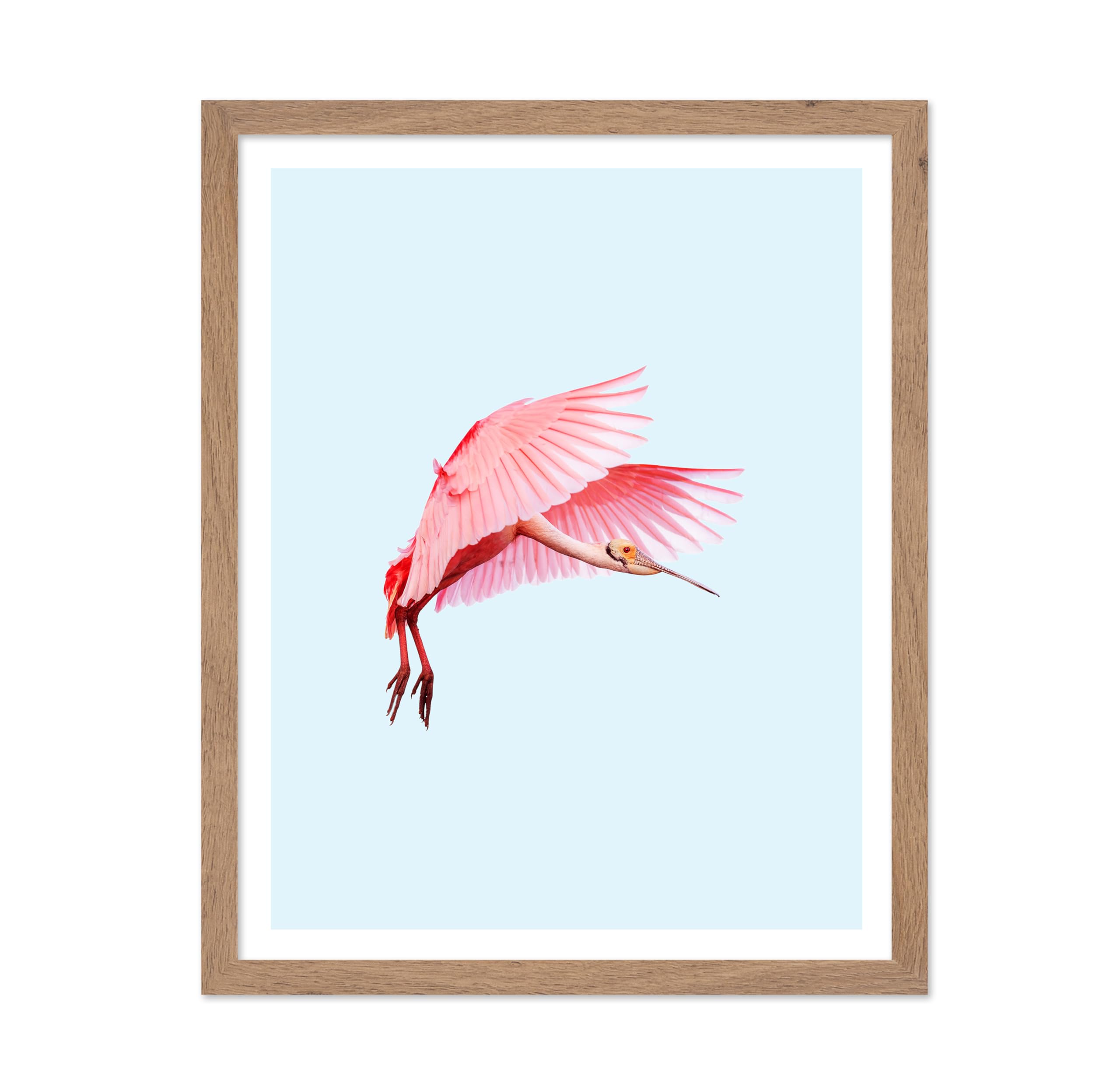Poster Master Vintage Flamingo Poster - Retro Pink Flamingo Print - Minimalist Art - Gift for Her, Bird Watcher, Animal Lover - 