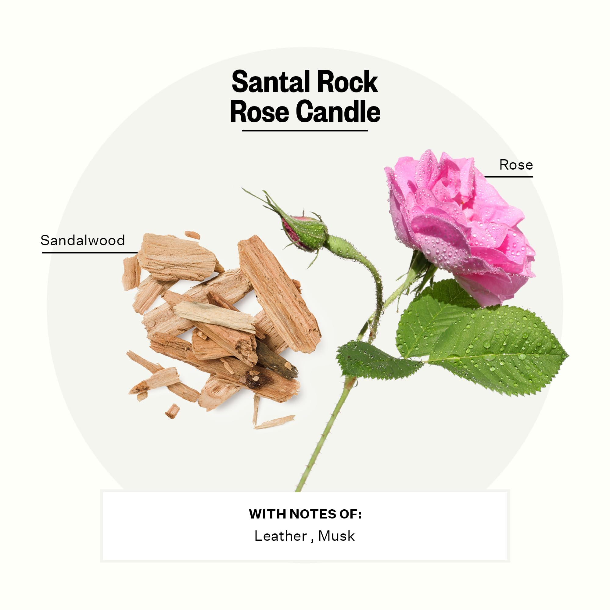 Apotheke Luxury Scented Candles For Home, Santal Rock Rose - Aromatherapy Jar Candle With Soy Wax Blend