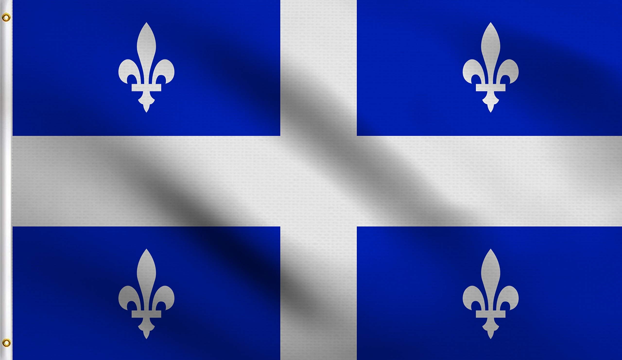 Dmse Quebec Fleurdelis   Canada Canadian The Lily-Flowered Flag 3X5 Ft Foot 100% Polyester 100D Flag Uv Resistant (3' X 5' Ft Fo