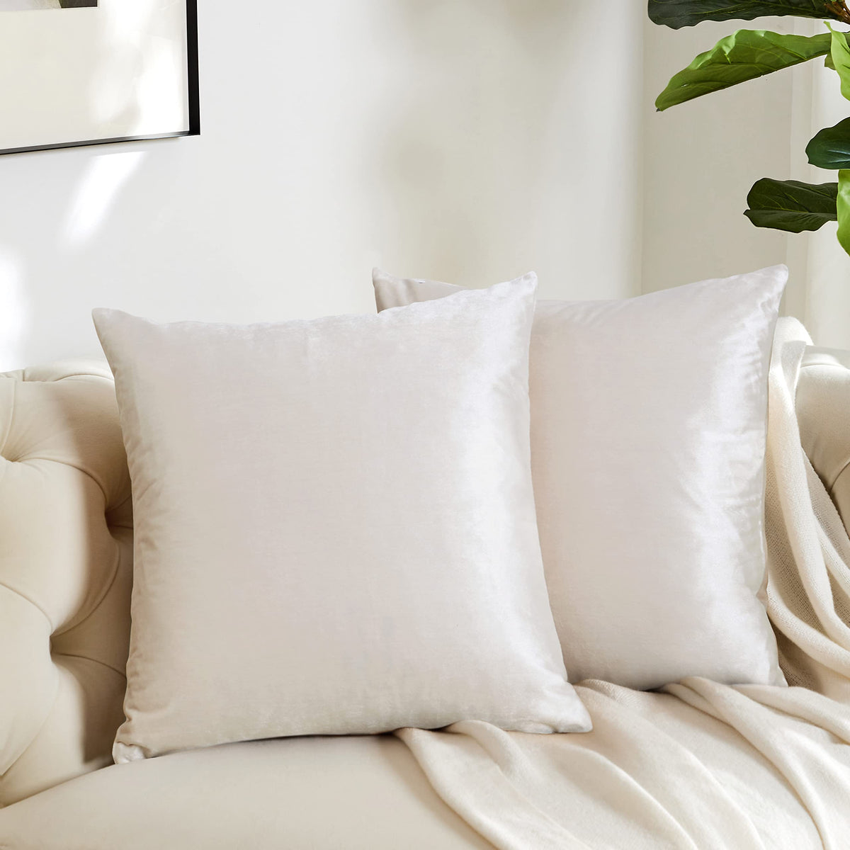 Gigizaza Ivory Pack Of 2,Decorative Couch Throw Pillow Covers,Square Pillow Cushion Covers 24X24,Pillow Cases Velvet Pillow Cove