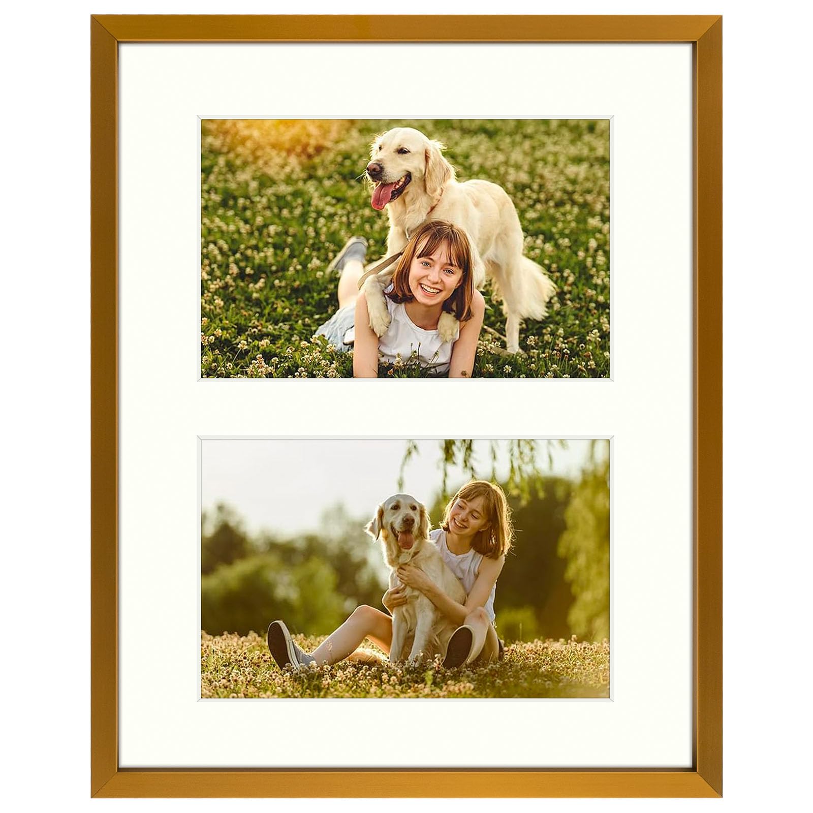 Golden State Art, 2-4x6 Collage Aluminum Picture Frame, Display Two 4x6 Photos with Ivory Mat or One 8x10 Without Mat, Tempered 
