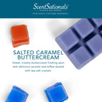 Scentsationals Scented Wax Fragrance Melts - Holiday Collection - Wax Cubes Pack, Home Warmer Tart, Electric Wickless Candle Bar