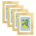 Hongkee 4x6 Picture Frame (4 Pack, Gold), Made of Real Glass and Wooden Frame - Display Pictures 3.5x5 with Mat or 4x6 Without M