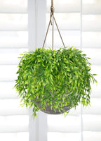 Pasyou Artificial Willow, Plastic Plants Greenery Leaves Fake Hanging Vine Faux Ivy For Home Indoor Outdoor Garden Door Wall Diy