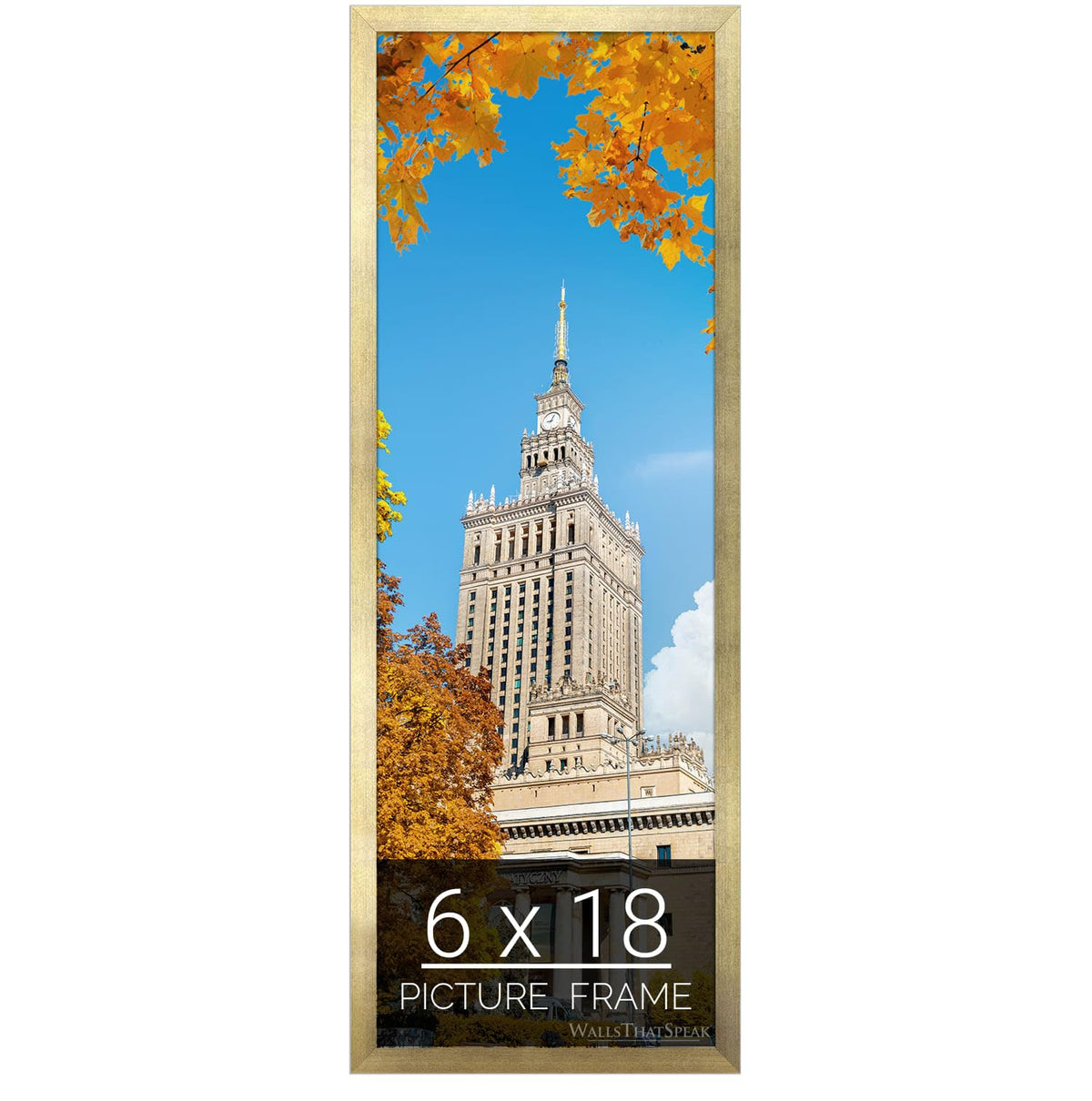 wallsthatspeak 6x18 Gold Picture Frame for Puzzles Posters Photos or Artwork