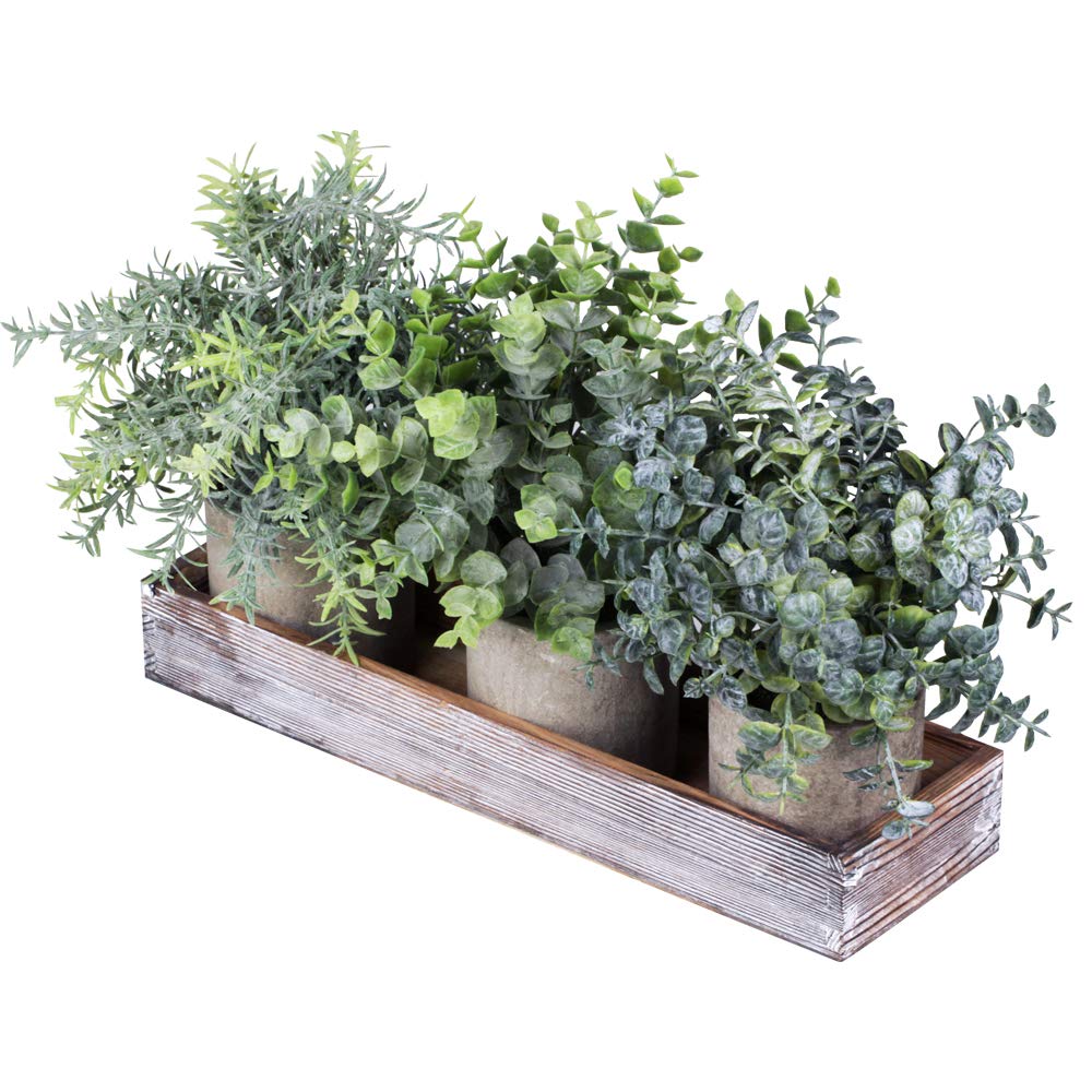 Set of 3 Mini Potted Artificial Eucalyptus Plants Faux Rosemary Plant Assortment with Wood Planter Box for Indoor Office Desk Ap