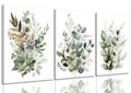 Bwodke Botanical Wall Art Plant Floral Watercolor Poster Canvas Prints Set of 3 Framed Sage Green Painting Eucalyptus Leaf Pictu