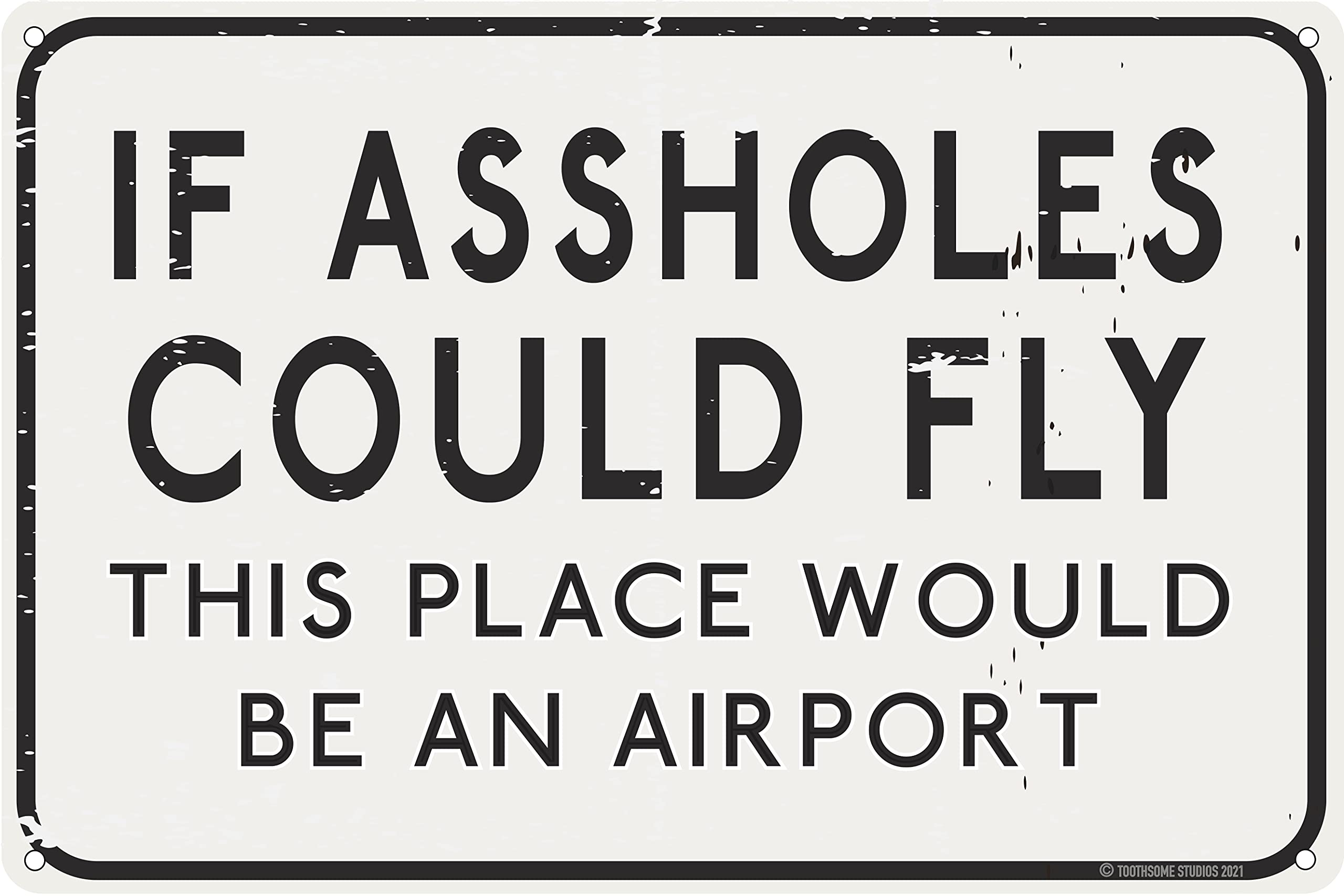 If Assholes Could Fly This Place Would Be An Airport 12 x 8 Funny Tin Sign Man Cave Garage Home Bar Decor