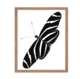 Poster Master Illustration Poster - Animal Print - Zebra Longwing Butterfly, Heliconius Charithonia, Insect, Abstract - Gift for