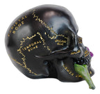 Ebros Black And Gold Paranormal Witch Romantic Lobotomy Brain Anatomy Skull With Purple Flower Statue 6.5'' Long Supernatural Oc
