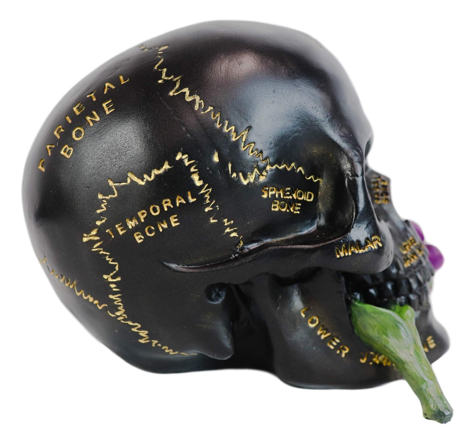 Ebros Black And Gold Paranormal Witch Romantic Lobotomy Brain Anatomy Skull With Purple Flower Statue 6.5'' Long Supernatural Oc
