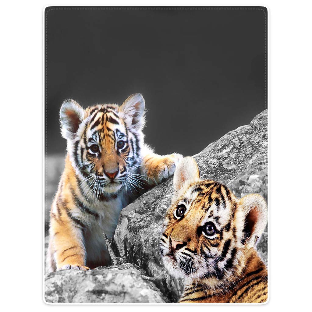 Hommomh 60'X80' Cute Tiger Cub Blanket Cozy Warm Soft Plush Throw For Couch Sofa Bed