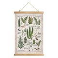 XIAOAIKA Botanical Fern Varieties Poster - Vintage Illustrated Guide with Wooden Frame - Educational Plant Wall Art for Home, Of