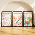 SoulAbiti Soft Botanical Study set of 3 Framed Wall Print 12x18 inch Dark Brown Frame PlexiGlass Floral Art ready to hang for l