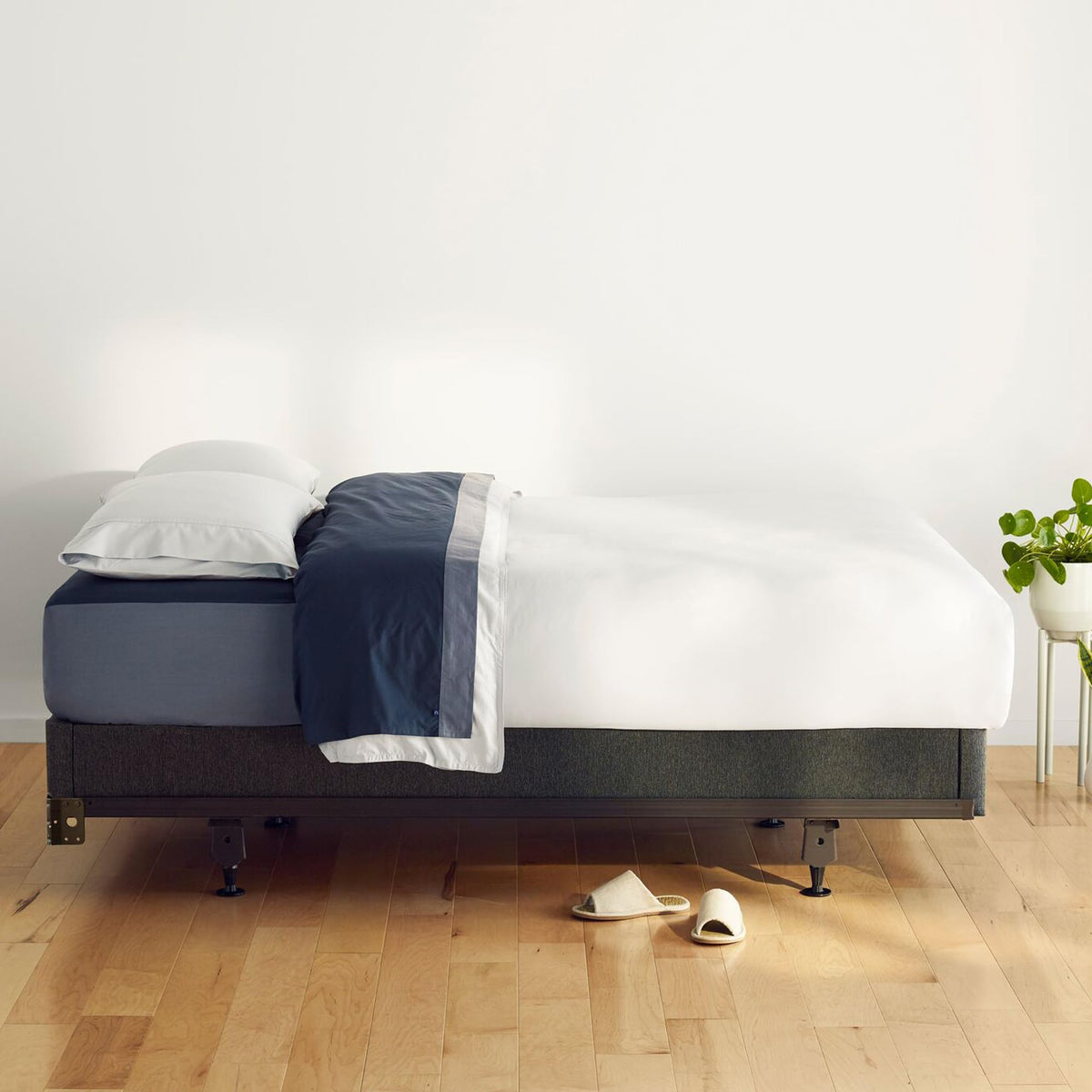 Casper Sleep Foundation for King Mattress