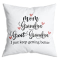 Zngfon Mom Grandma Great Grandma Throw Pillow Covers Case 18X18