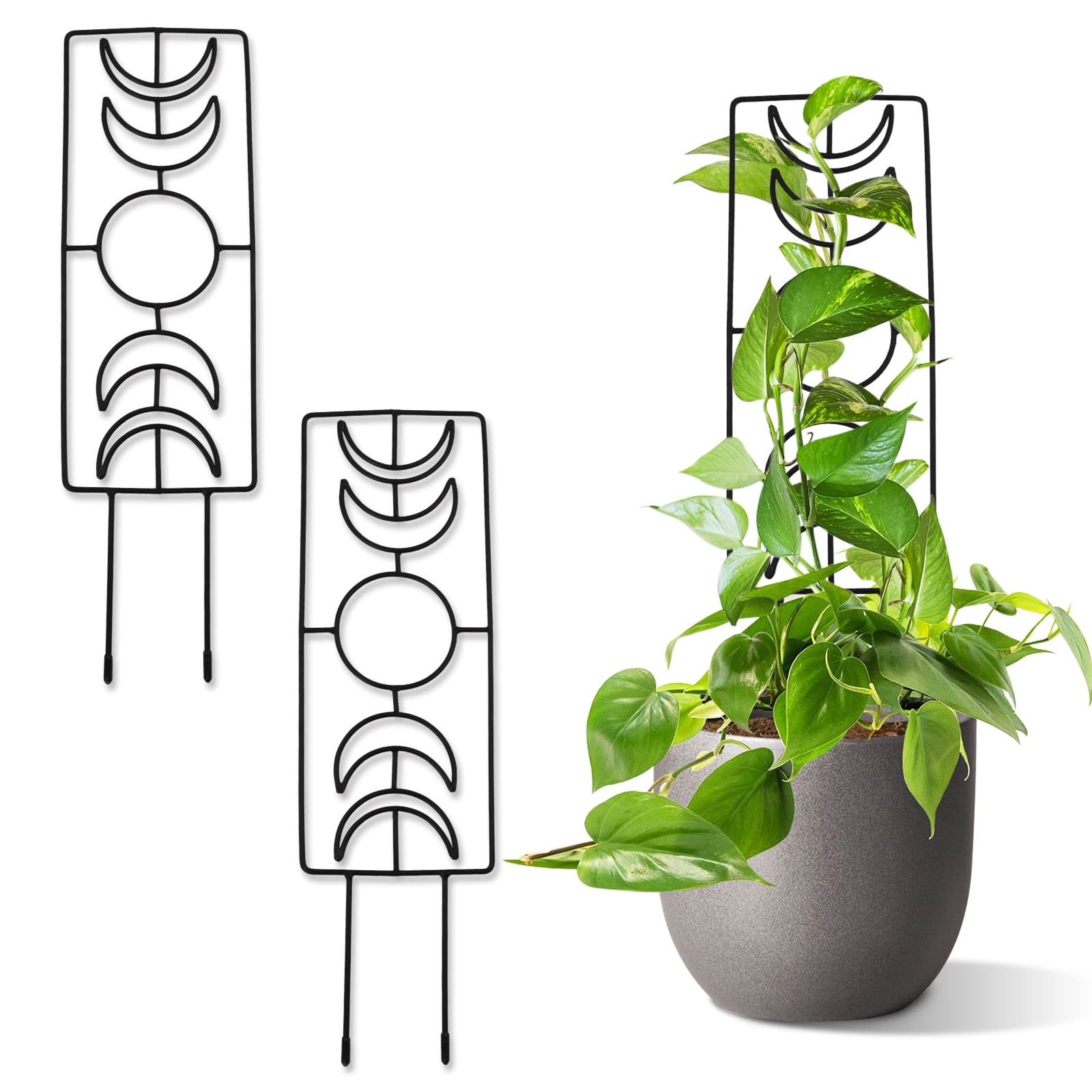 Tuitessine Moon Phase Trellis Indoor Plant Trellis Climbing Plant Small Garden Trellis For Potted Plant Houseplant Metal Wire Tr