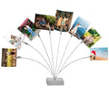 Photo Tree Holder Clip Cube Base,8 - Branch Money Trees Gift Card Holder with Clips,Picture Holder Stand for Christmas Wedding G