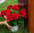 Mumiko Artificial Geraniums Silk Flowers, 18'' Ruby Red, 2PCS for Home Outdoor Garden Decor