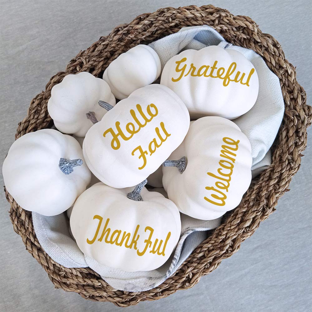 Besttoyhome 12 Pcs Assorted Sizes Rustic Harvest White Artificial Pumpkins For Halloween, Fall Thanksgiving Decorating Harvest E