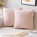 EMEMA Pack of 2 Velvet Pillow Covers Decorative Square Pillowcase Soft Solid Cushion Case for Sofa Bedroom Car 16x16 Inch Pink