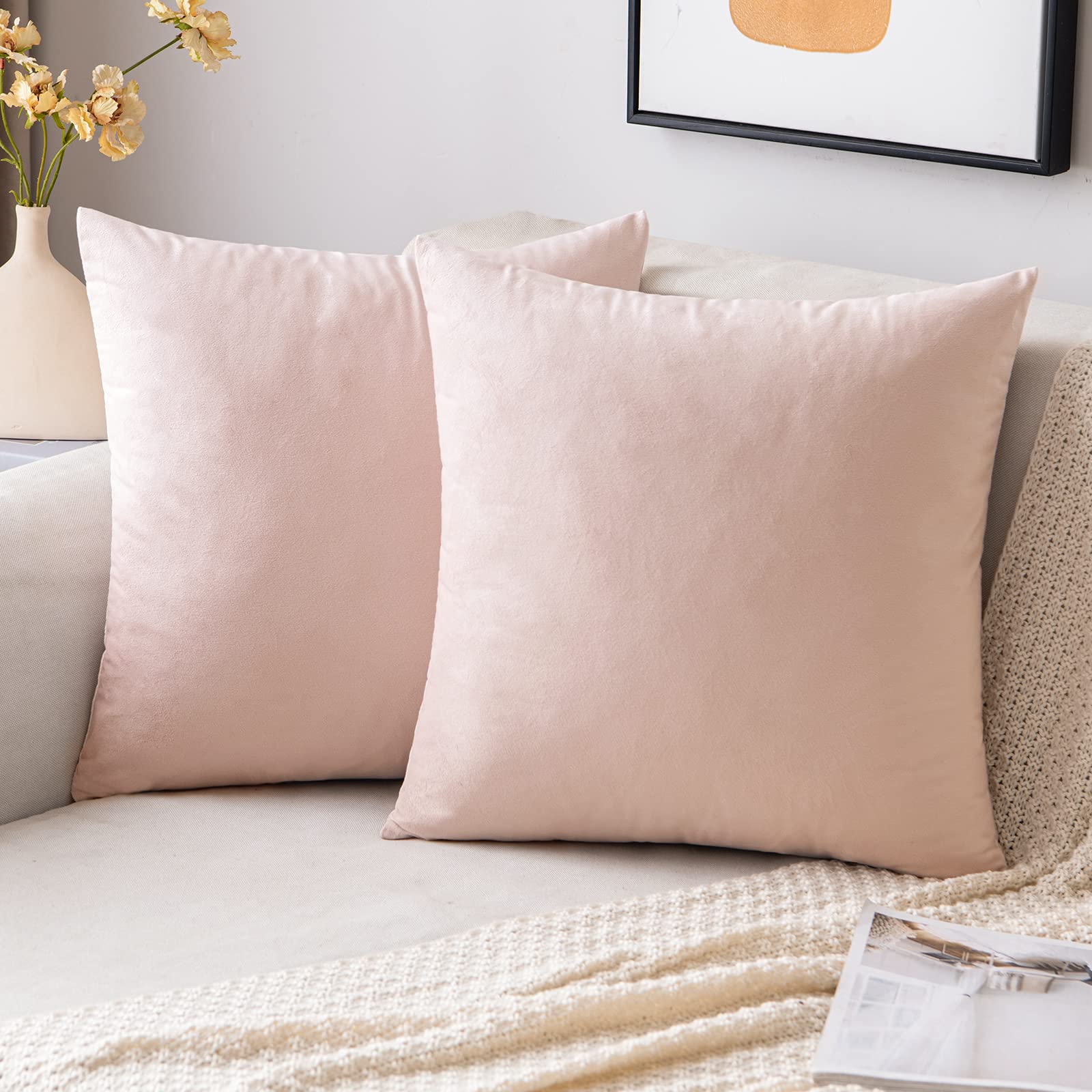 EMEMA Pack of 2 Velvet Pillow Covers Decorative Square Pillowcase Soft Solid Cushion Case for Sofa Bedroom Car 16x16 Inch Pink