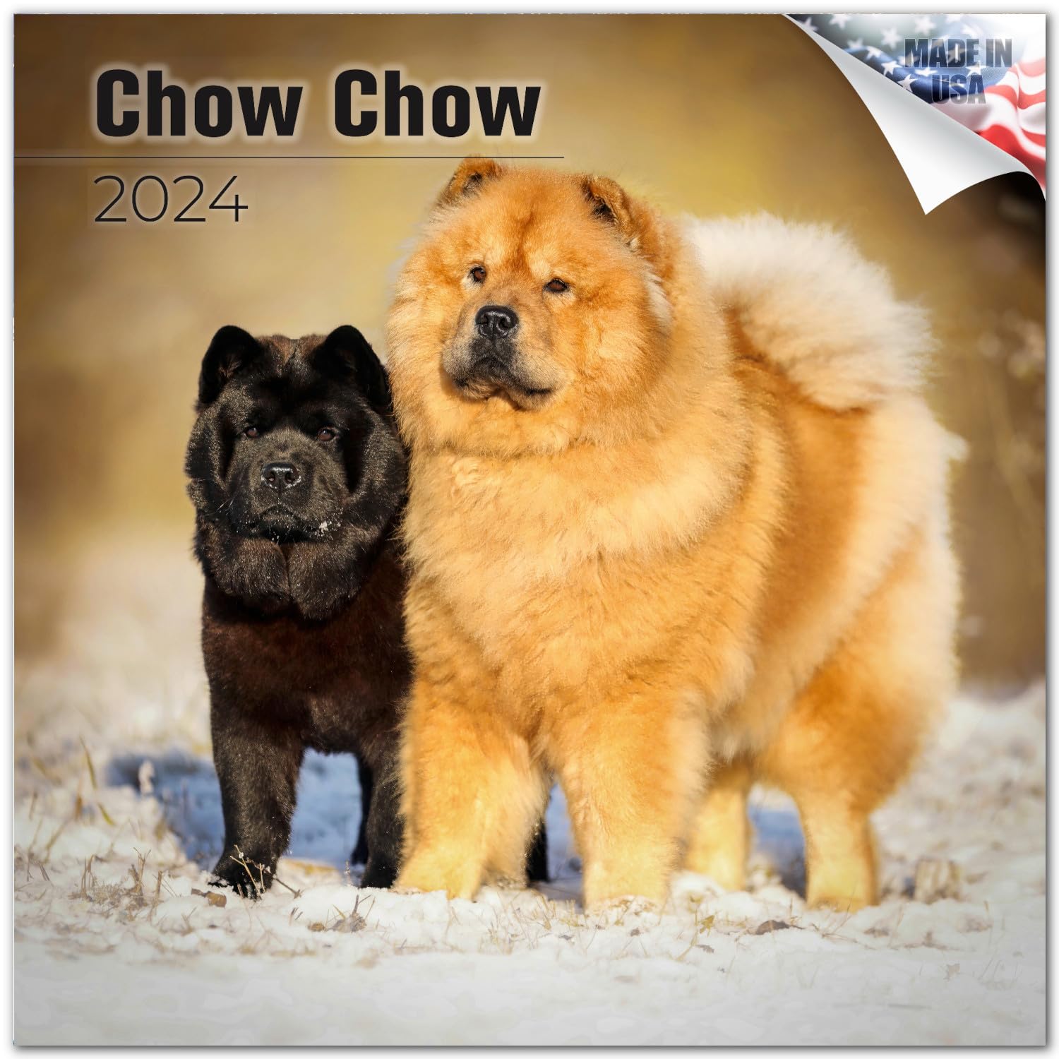 2023 2024 Chow Chow Calendar - Dog Breed Monthly Wall Calendar - 12 X 24 Open - Thick No-Bleed Paper - Giftable - Academic Teach
