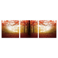 Furinno Senia Wall Mounted Triptych Photography Prints, Autumn Leaves, Set Of 3